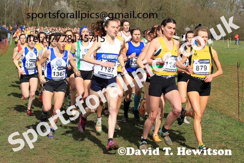 Senior Womens 2022 CAU Inter Counties Cross Country, Prestwold Hall, Loughborough.  Photo: David T. Hewitson/Sports for All Pics